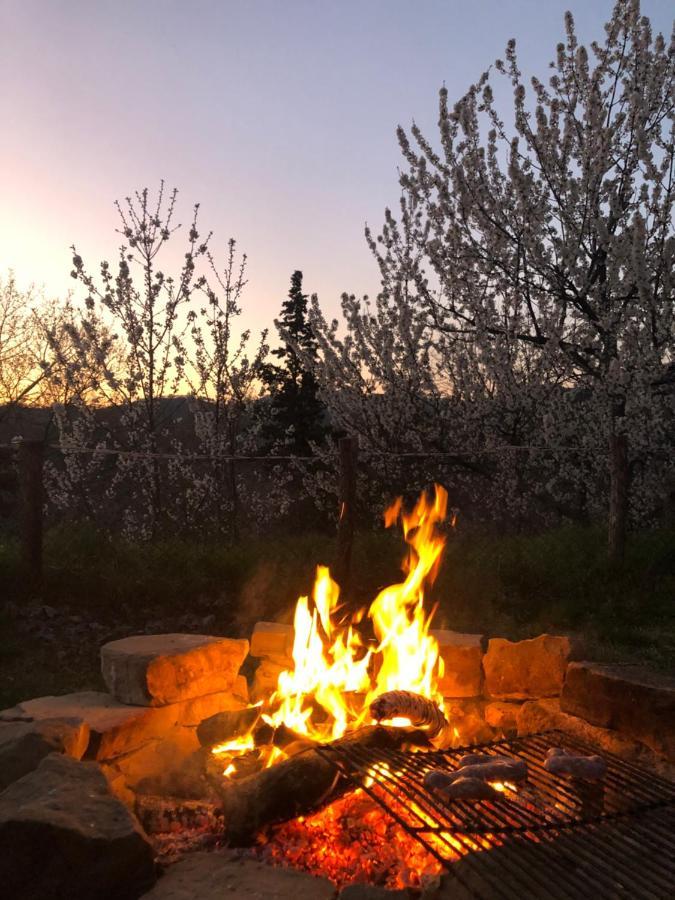 Agriturismo Il Covo Del Solengo Valtopina Dış mekan fotoğraf