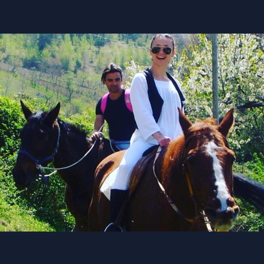 Agriturismo Il Covo Del Solengo Valtopina Dış mekan fotoğraf