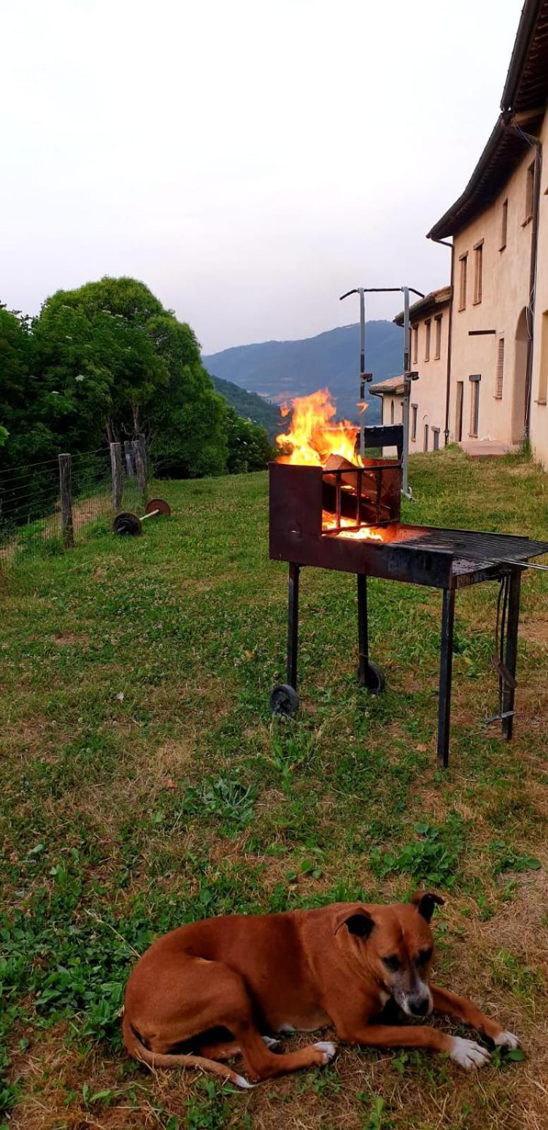 Agriturismo Il Covo Del Solengo Valtopina Dış mekan fotoğraf