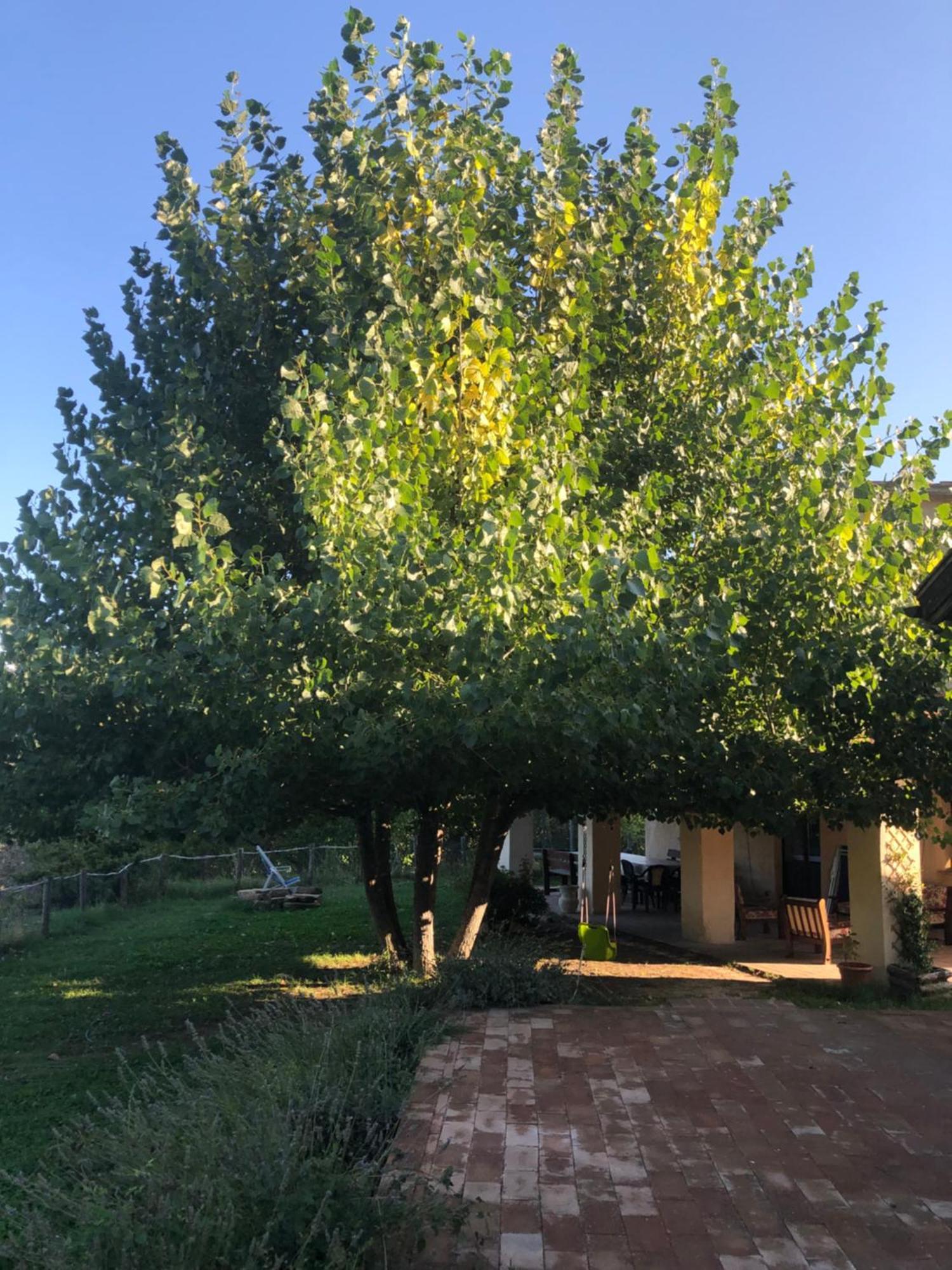 Agriturismo Il Covo Del Solengo Valtopina Dış mekan fotoğraf